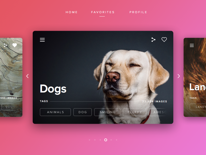 modern slider website dog pink