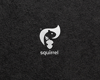 squirrel holding a nut logo design