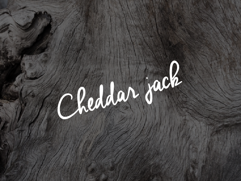 cheddar jack script font 