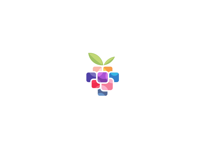 minimalist berry logo