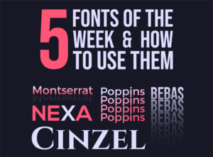 5 Fonts of the Week by inkyy web design team