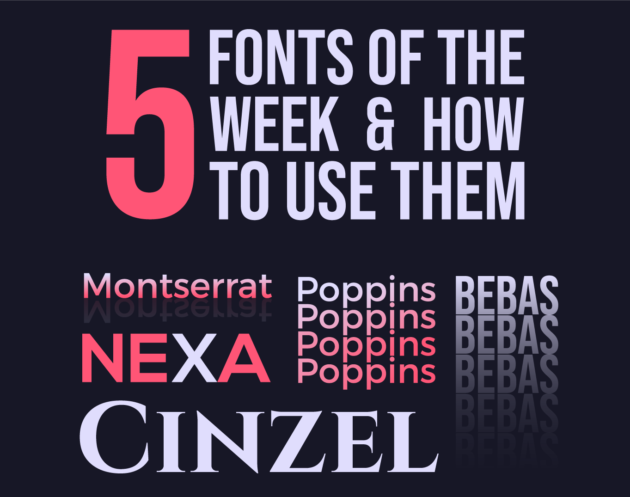 5 Fonts of the Week by inkyy web design team